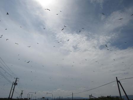 2012HKD_day7012.jpg