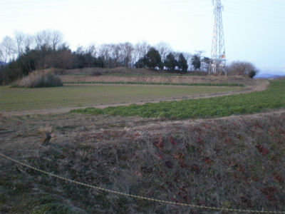 2010_0110_170024-P1100146.jpg