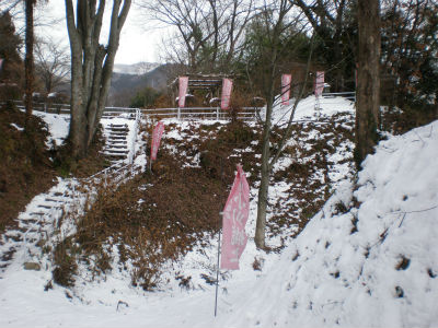 P1070024.jpg