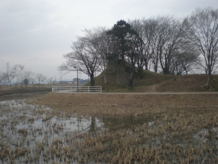 P1180022.jpg