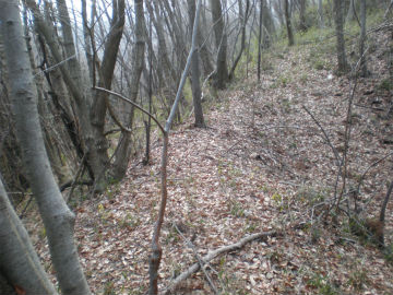 P2160020.jpg