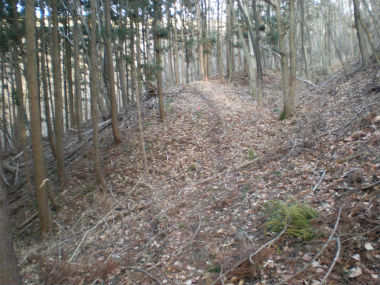 P2160046.jpg
