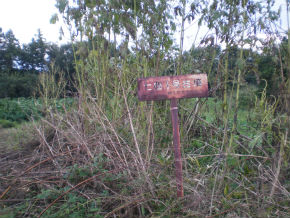 PA070094.jpg