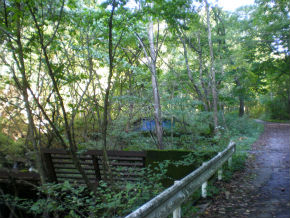 PA080172.jpg