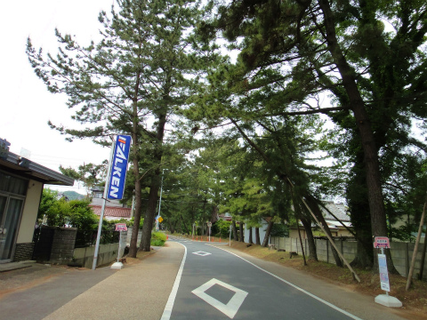 DSC08495.jpg
