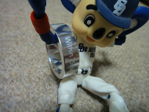 DSC08713.jpg