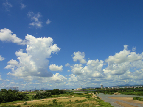 DSC09059.jpg
