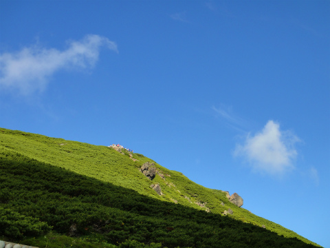 DSC09128.jpg
