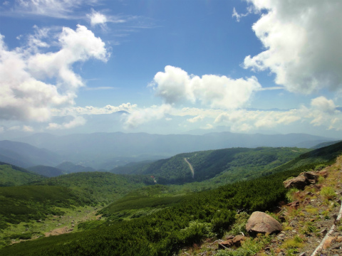 DSC09133.jpg