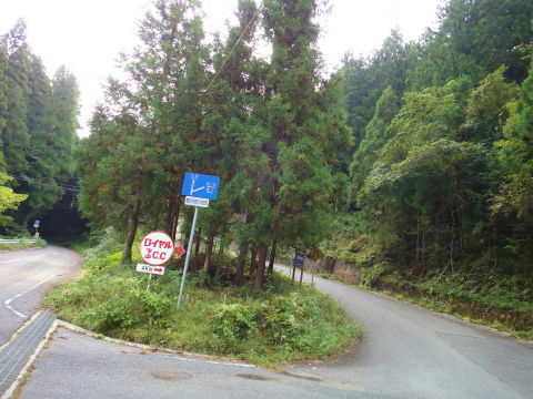 DSC09441.jpg