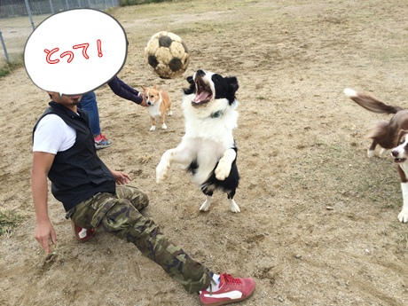 ジャンプ!