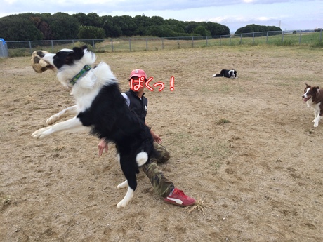 ♪