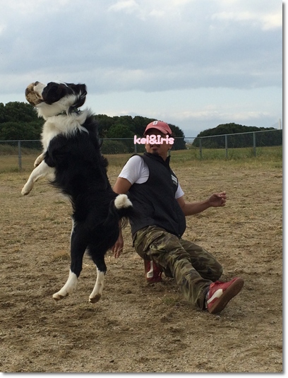 ととっ