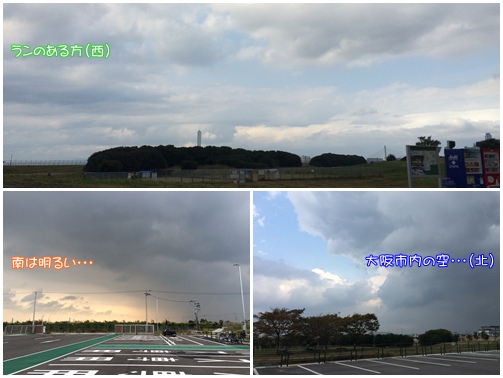 空