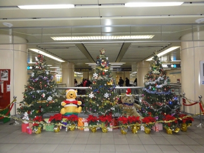 086_20140111140727af7.jpg