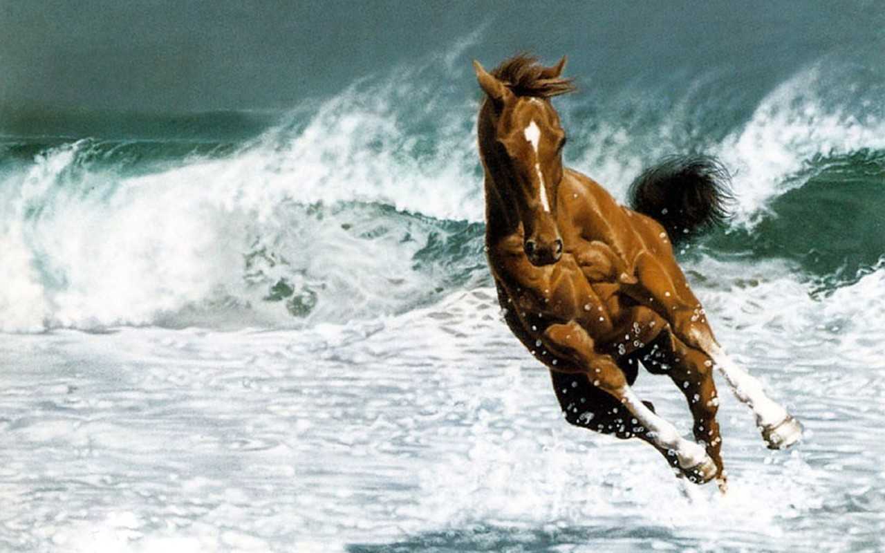 人気ダウンロード かっこいい馬 画像 かっこいい馬 画像 Demarcusduhonjp