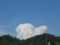 P1040315_convert_20120828000024.jpg