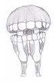 aaa2.png