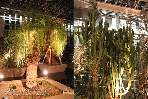 淡路夢舞台温室「奇跡の星の植物館」