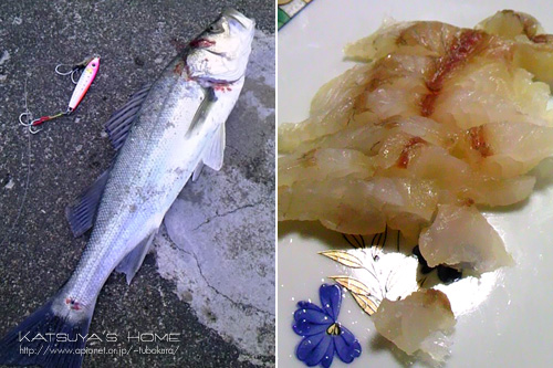 海釣り