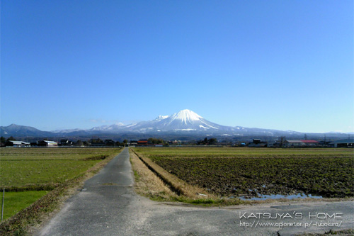 散歩道