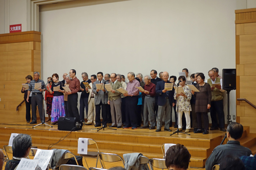 DSC06413-1_edited-1.jpg