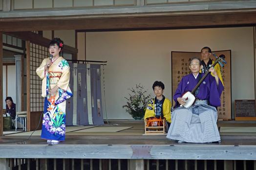DSC06555-1_edited-1.jpg
