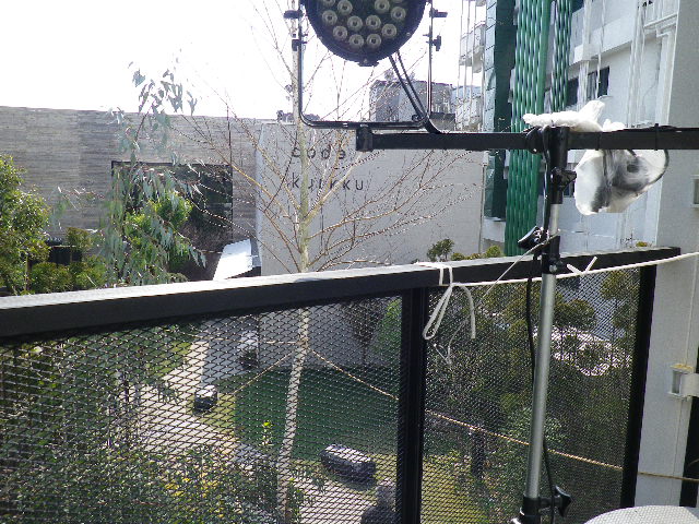IMGP1775.jpg