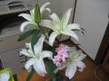 2012.7.3カサブランカ 005