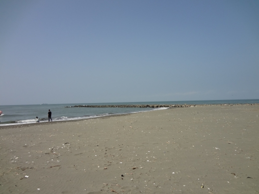 mini_DSC04708.jpg