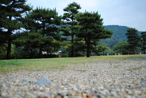 DSC_2037.jpg