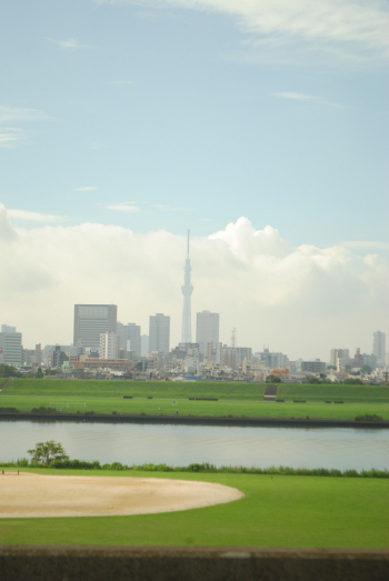 DSC_2525.jpg