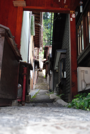 DSC_2626.jpg
