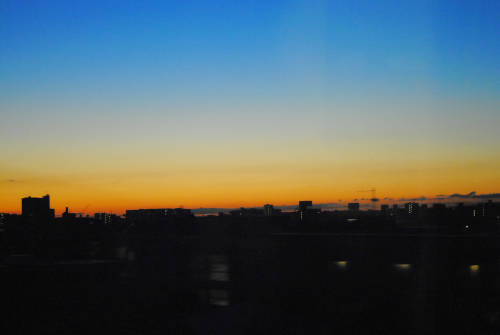 DSC_2915.jpg