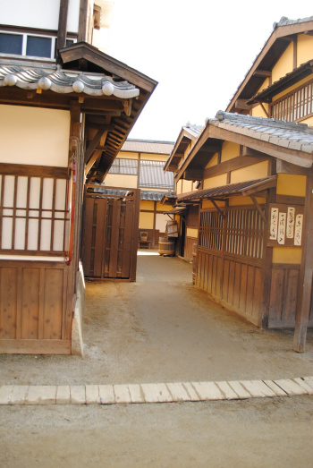 DSC_2987.jpg