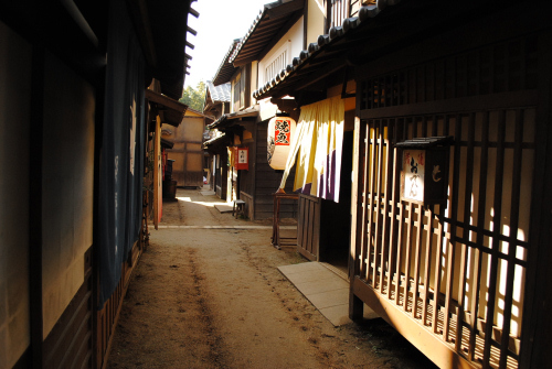 DSC_2993.jpg