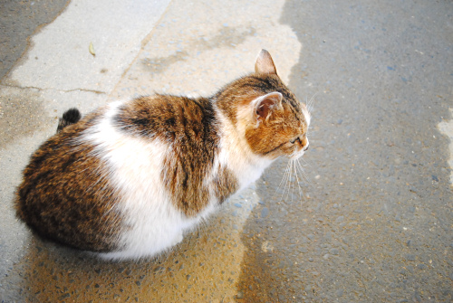 DSC_3037.jpg