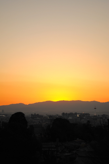 DSC_3076.jpg