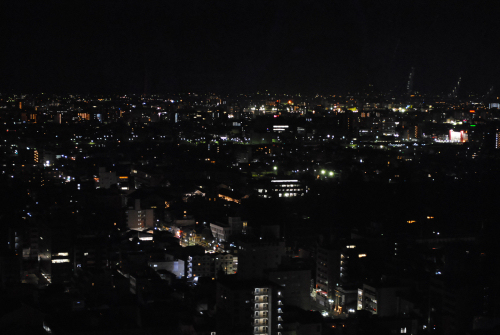 DSC_3110.jpg