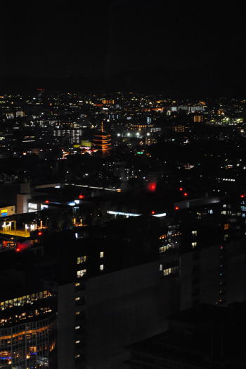 DSC_3113.jpg