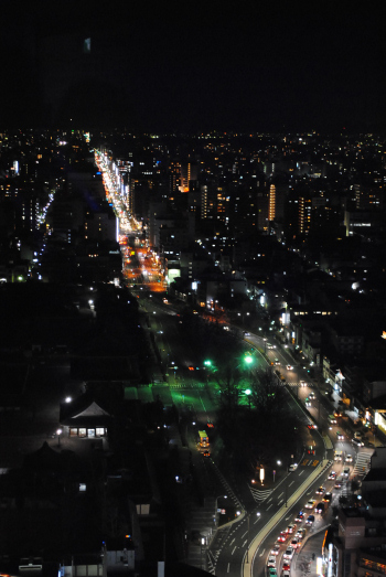 DSC_3119.jpg