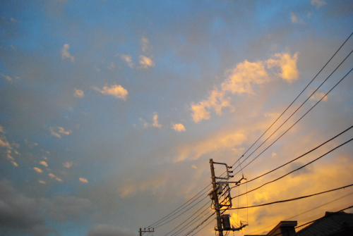 DSC_4700.jpg