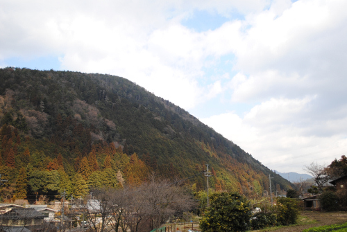 DSC_5033.jpg