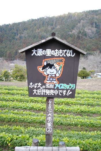 DSC_5045.jpg