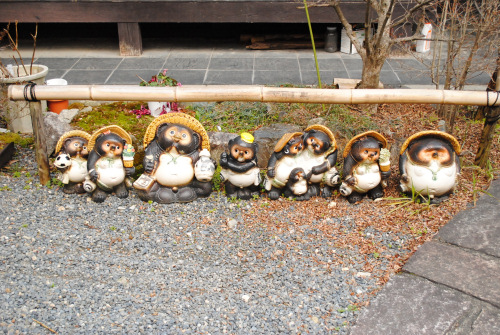 DSC_5054.jpg
