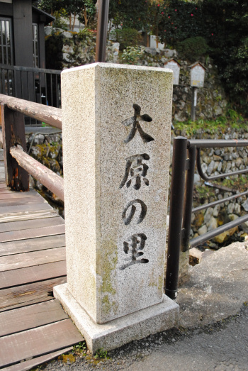 DSC_5063.jpg