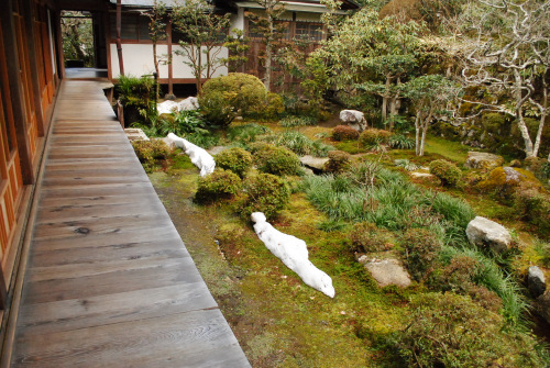 DSC_5097.jpg