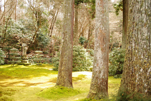 DSC_5108.jpg