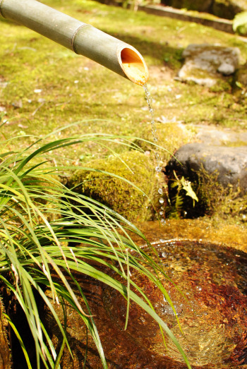 DSC_5146.jpg