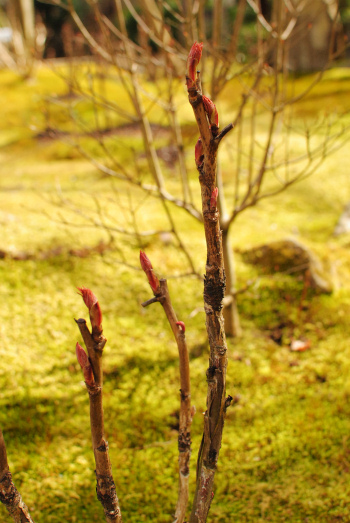 DSC_5151.jpg